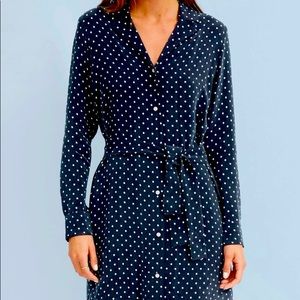 Everlane Polka Dot Shirtdress